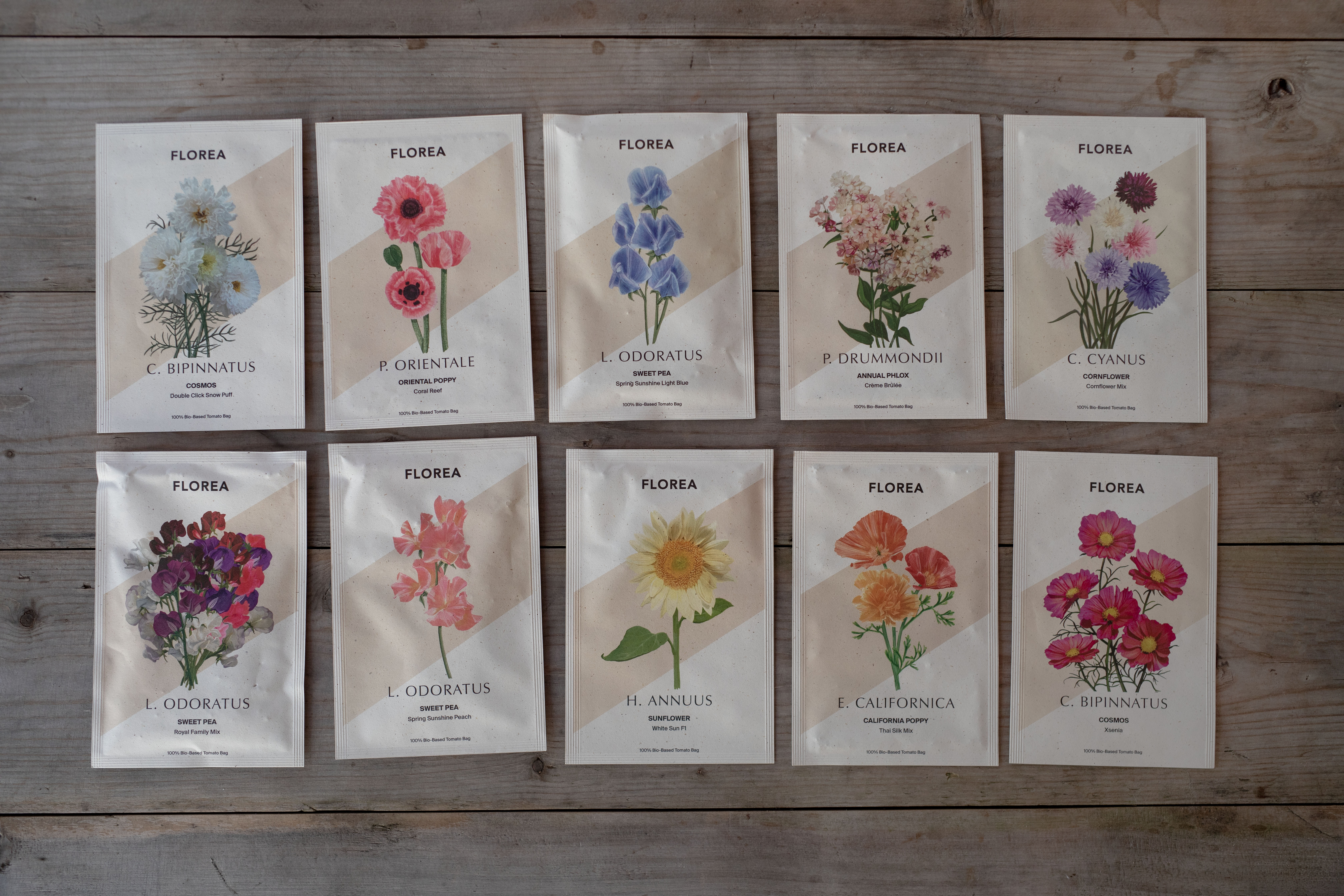 flowers1