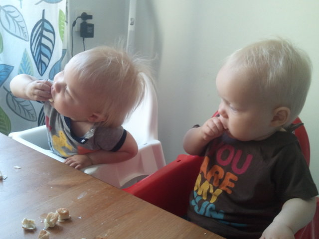 frulle1