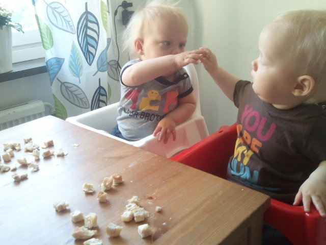 frulle2