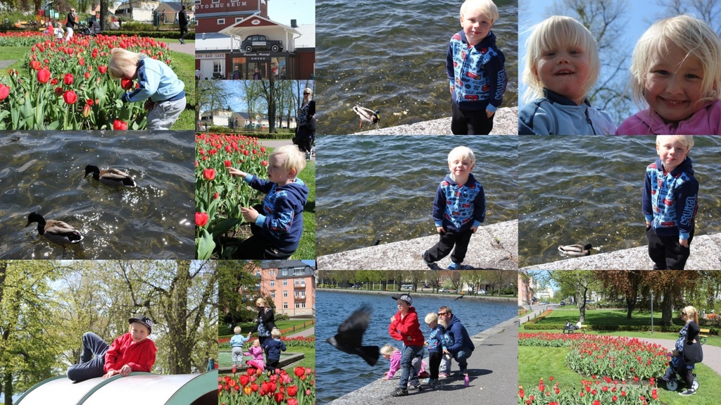 Senast överförda5
