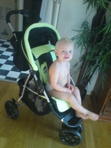 vagn1