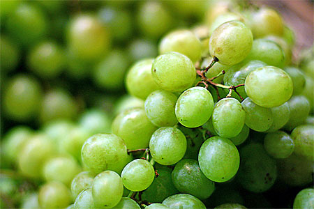 vindruvor